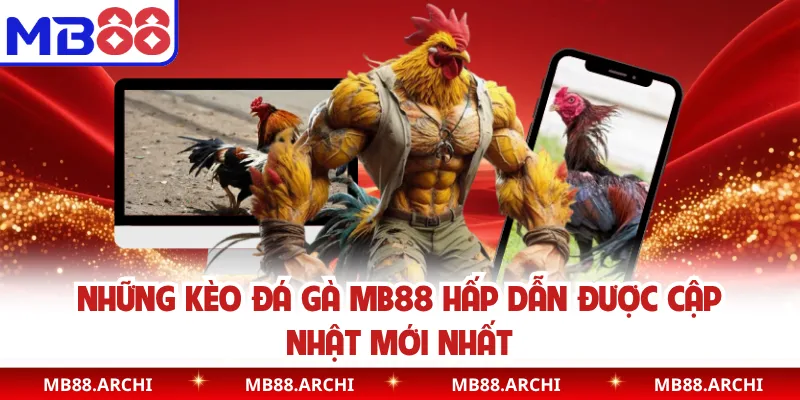 Những kèo đá gà MB88 hấp dẫn được cập nhật mới nhất
